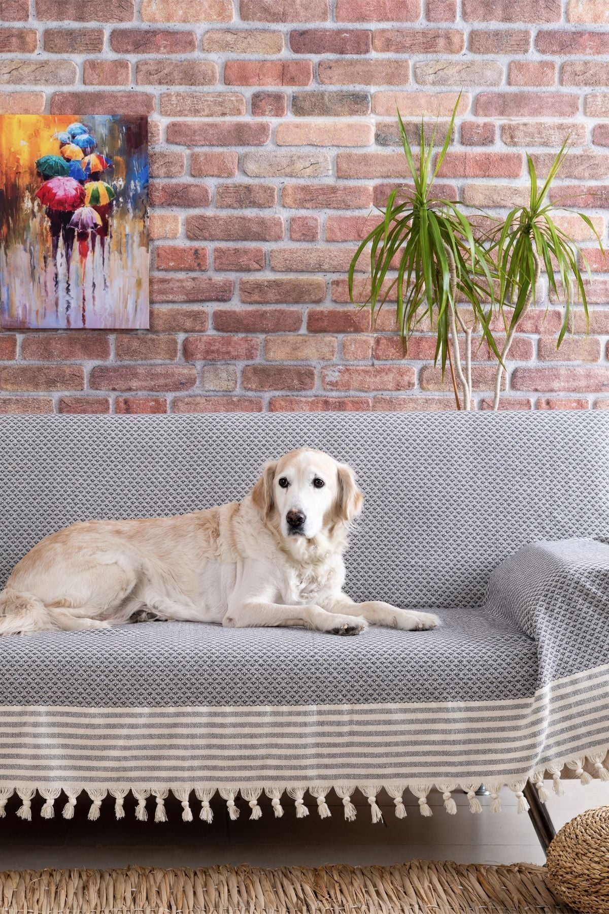 Yıldız Bordürlü Yeşil Koltuk Örtüsü | Koltuk Şalı 180x210 Pamuk